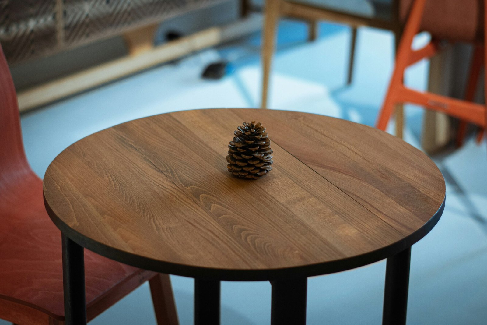 Modern Furniture Store in Vadodara