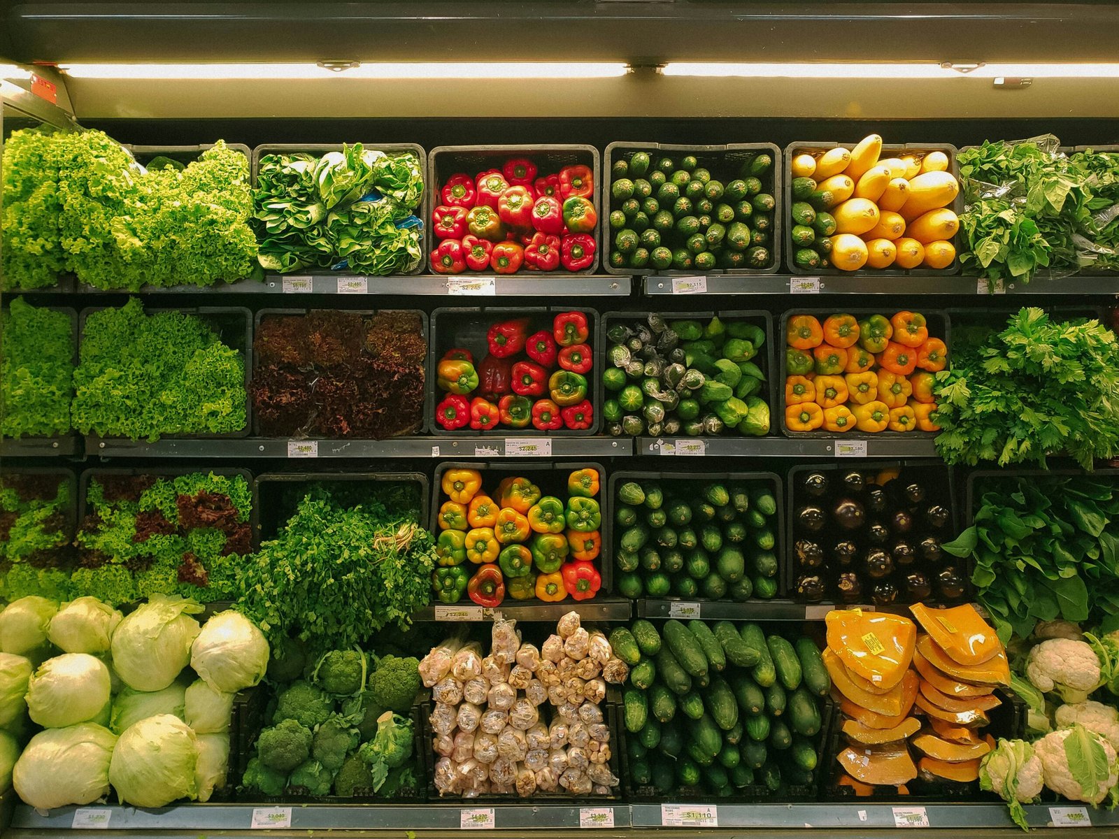 Organic Food Supplier in Vadodara