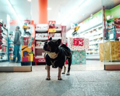 peter-plashkin-F3lBkL_y9KY-unsplash