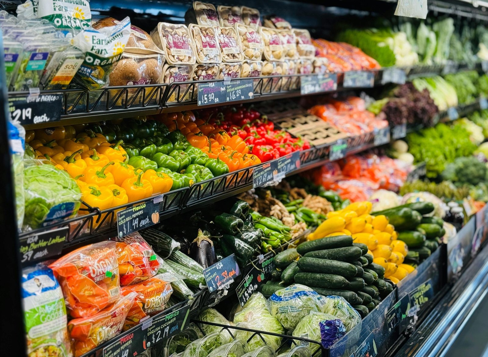 Organic Food Supplier in Ludhiana