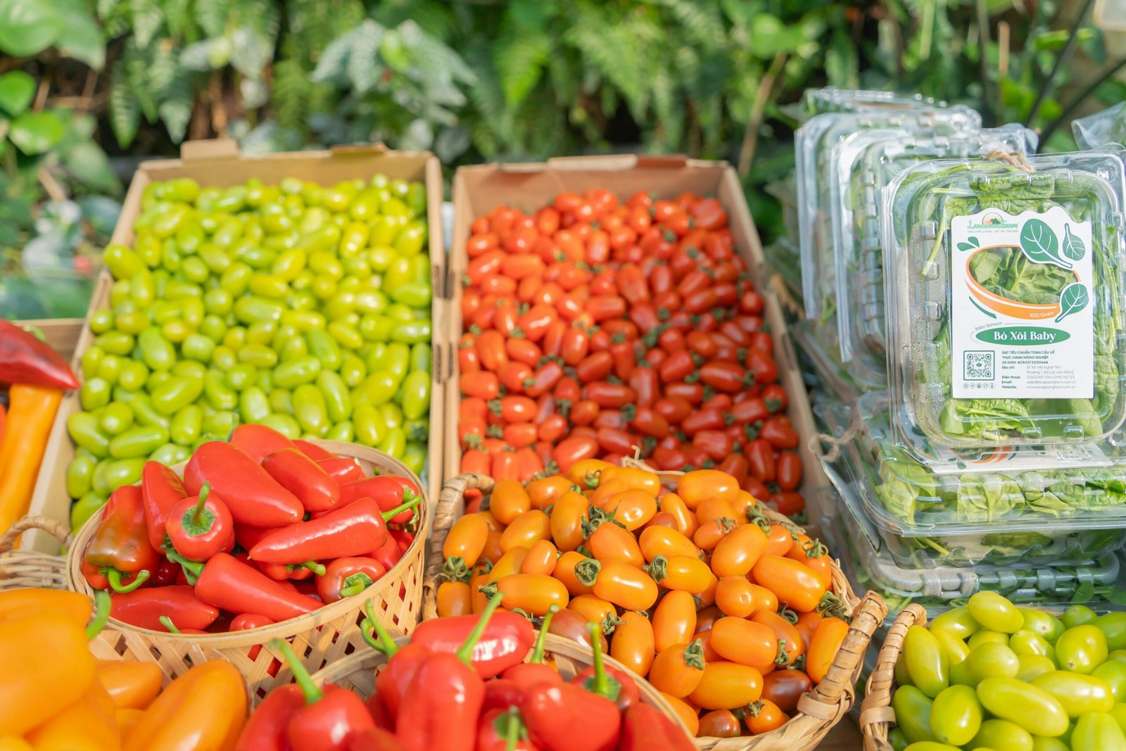 Organic Food Supplier in Pune